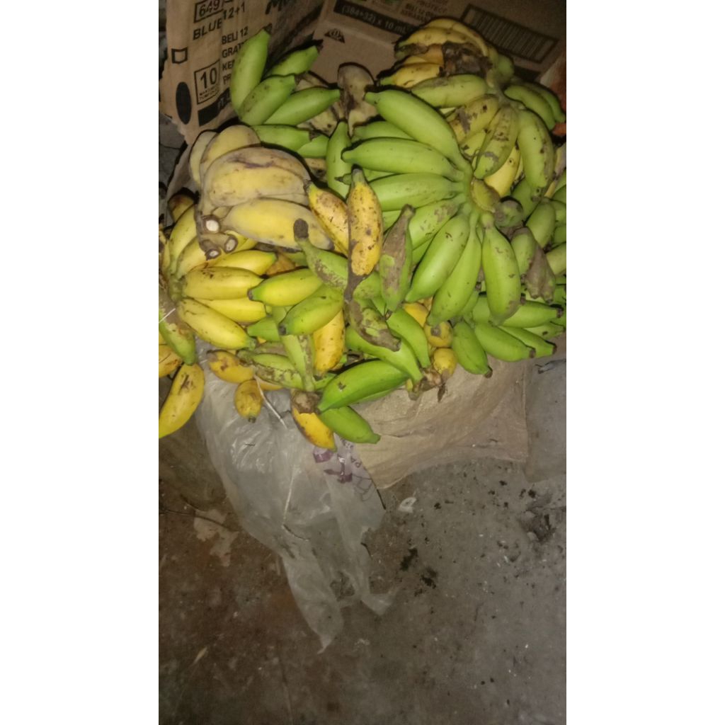 

pisang muli/pisang limpung