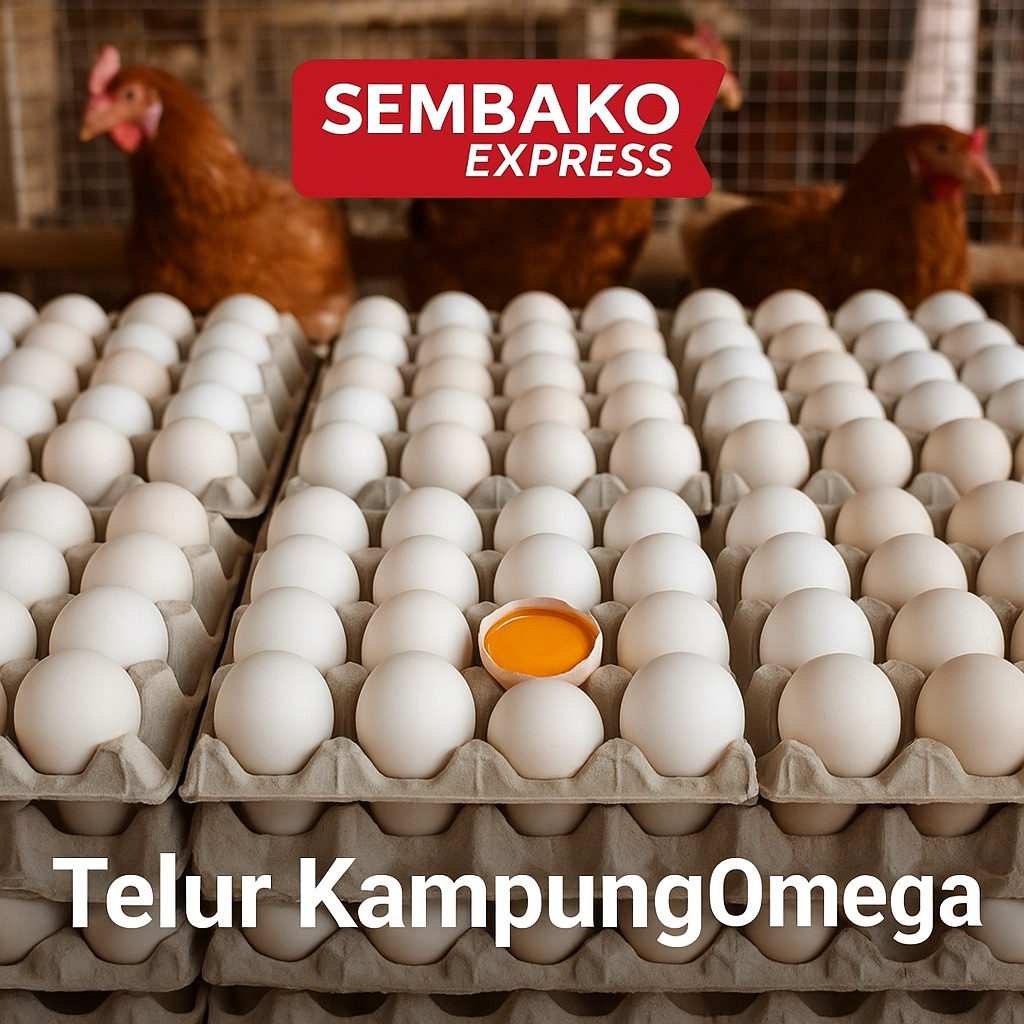 

Telur Kampung Omega – Per Butir | Telur Ayam Kampung Sehat dan Segar