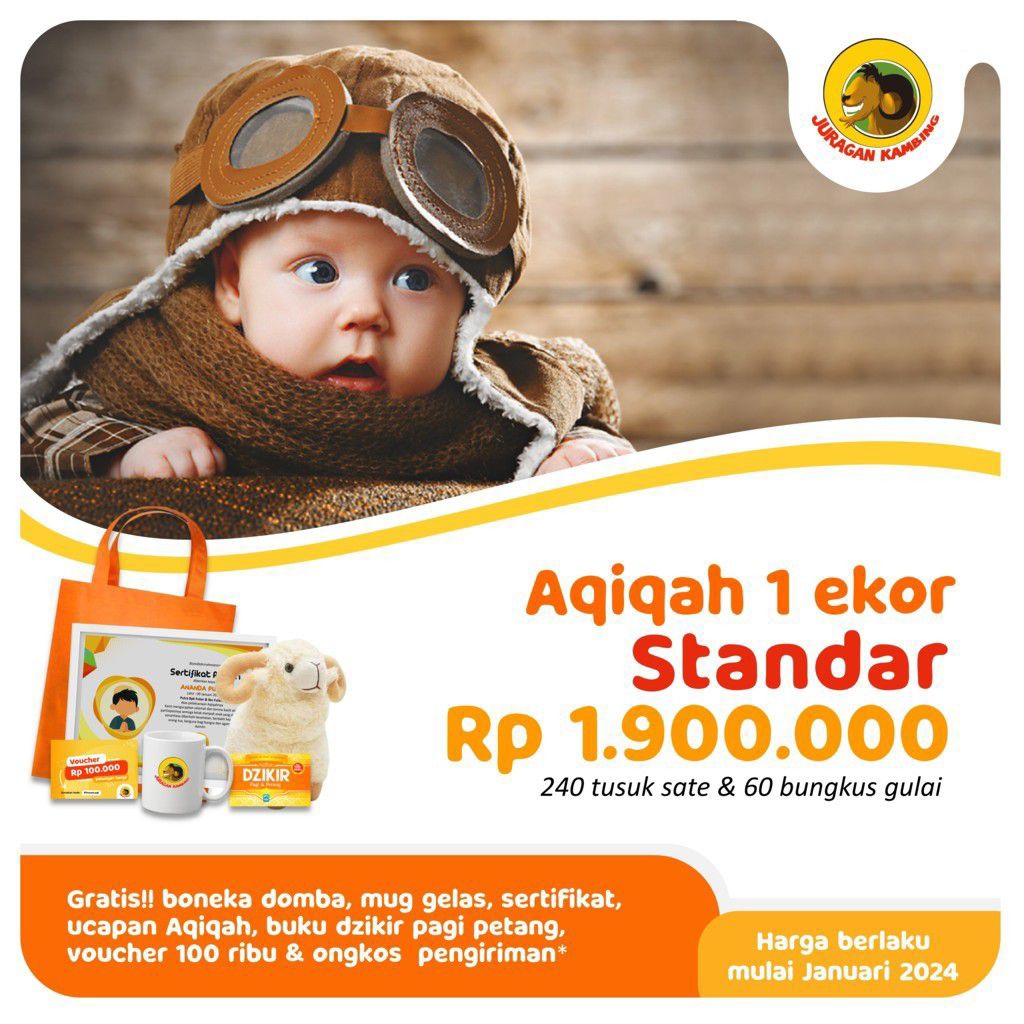 

Aqiqah 1 ekor Standar