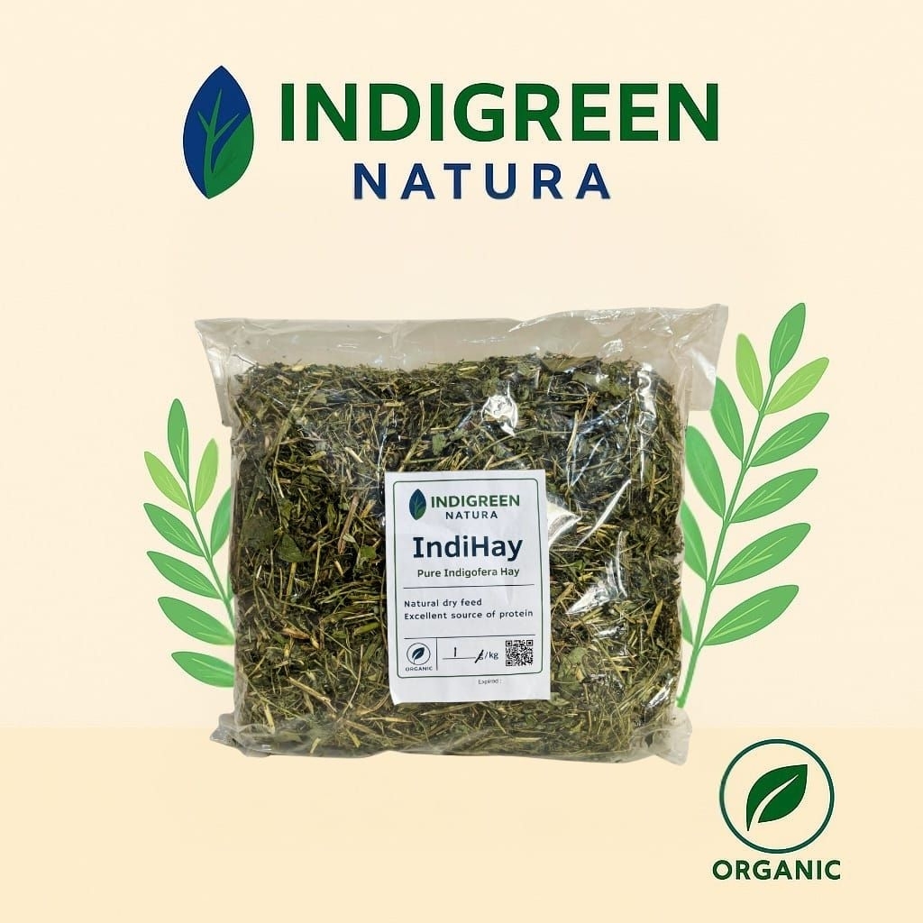 IndiHay Hay Indigofera Pakan Hewan Ternak Organik dari Tanaman Indigofera