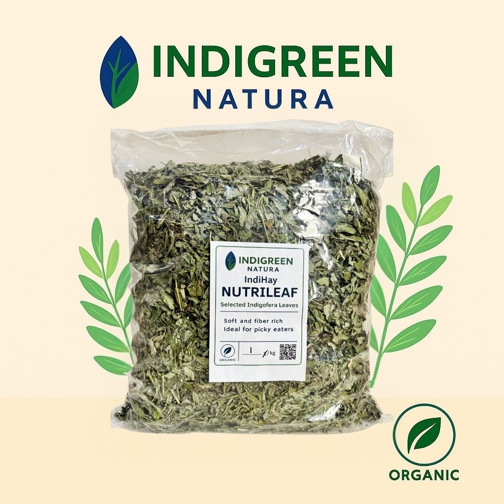 Nutrileaf Hay Indigofera Murni Daun Full Daun Indigofera