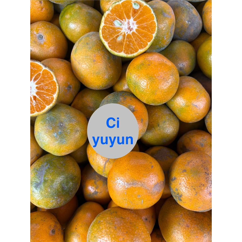 

Jeruk manis/jeruk berastagi/jeruk segar/jeruk kuning/jeruk siam/jeruk pontianak