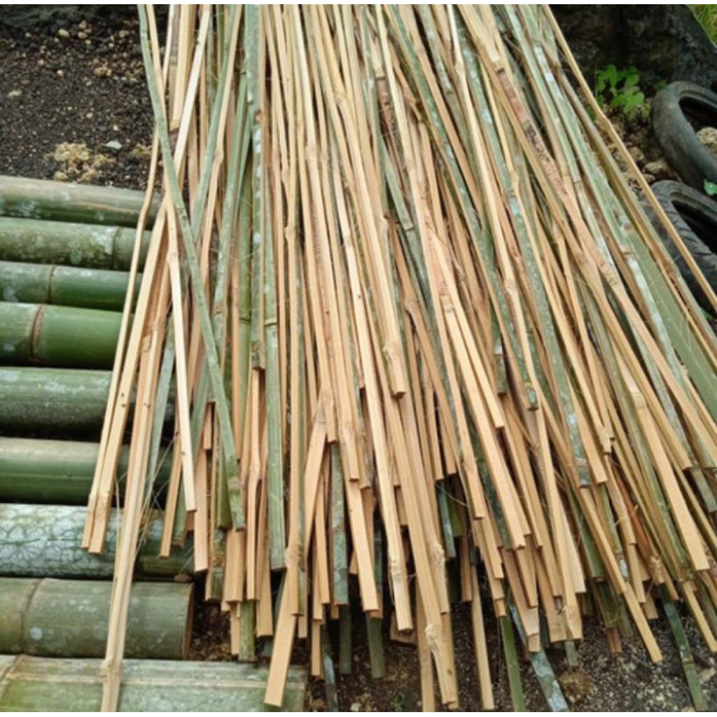 Ajir Penyangga tanaman rumah