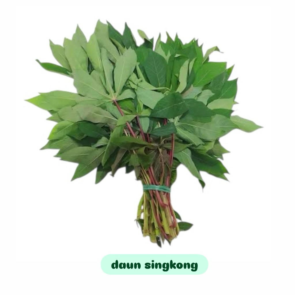 

Daun Singkong Fresh per ikat
