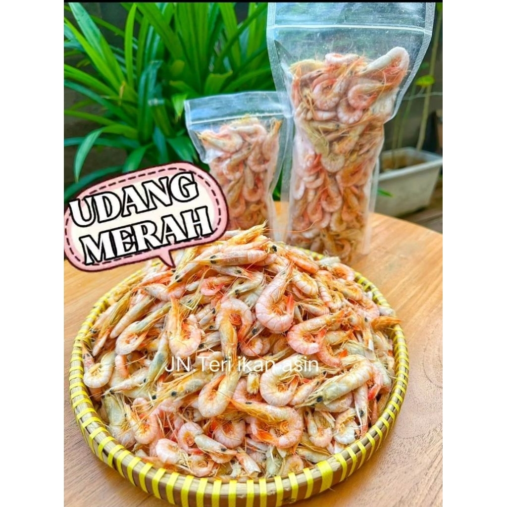

JN Teri ikan asin UDANG EBI KERING MERAH Super bersih premium besar 100GR 250GR 500GR