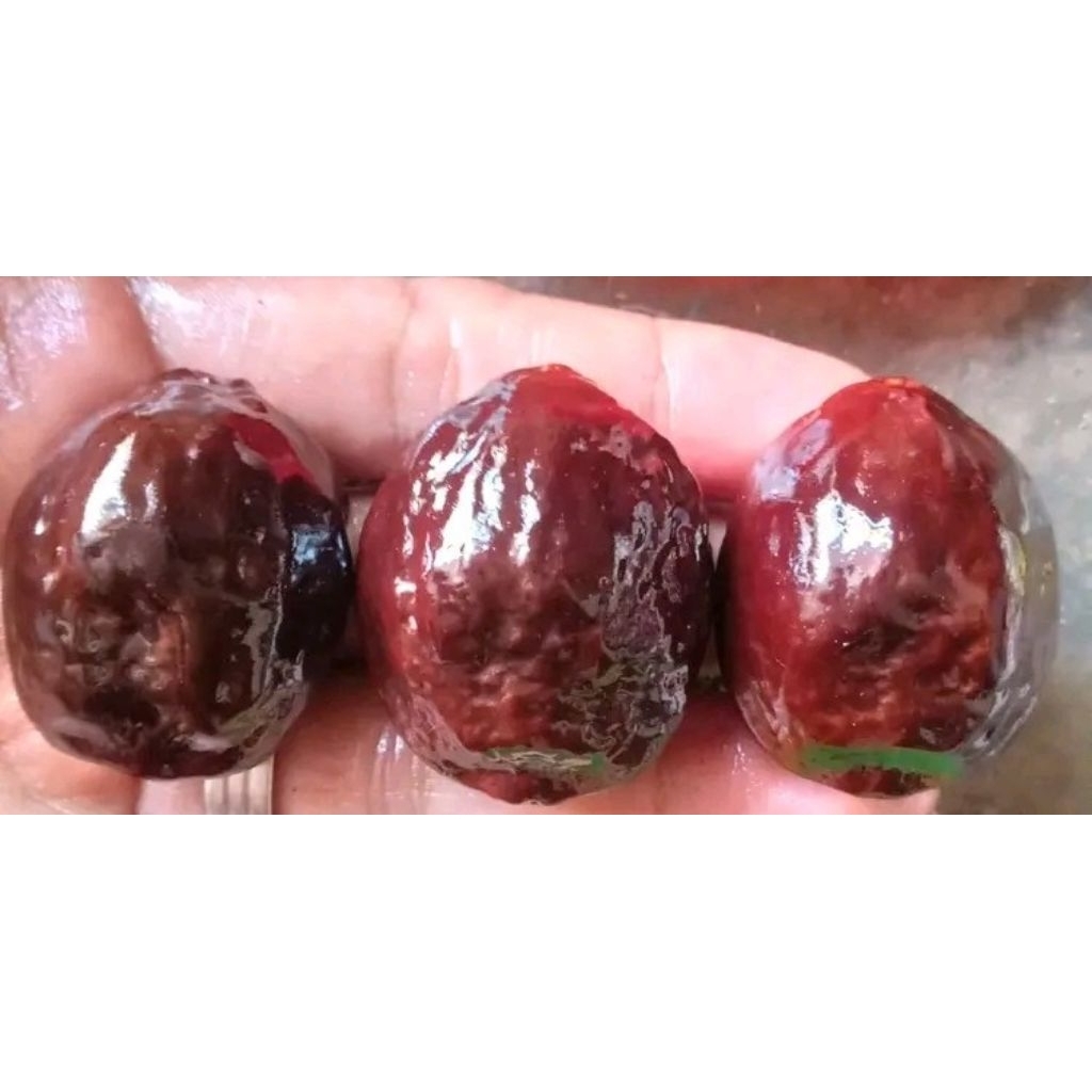 Muncang Adu Yanti Si Gula