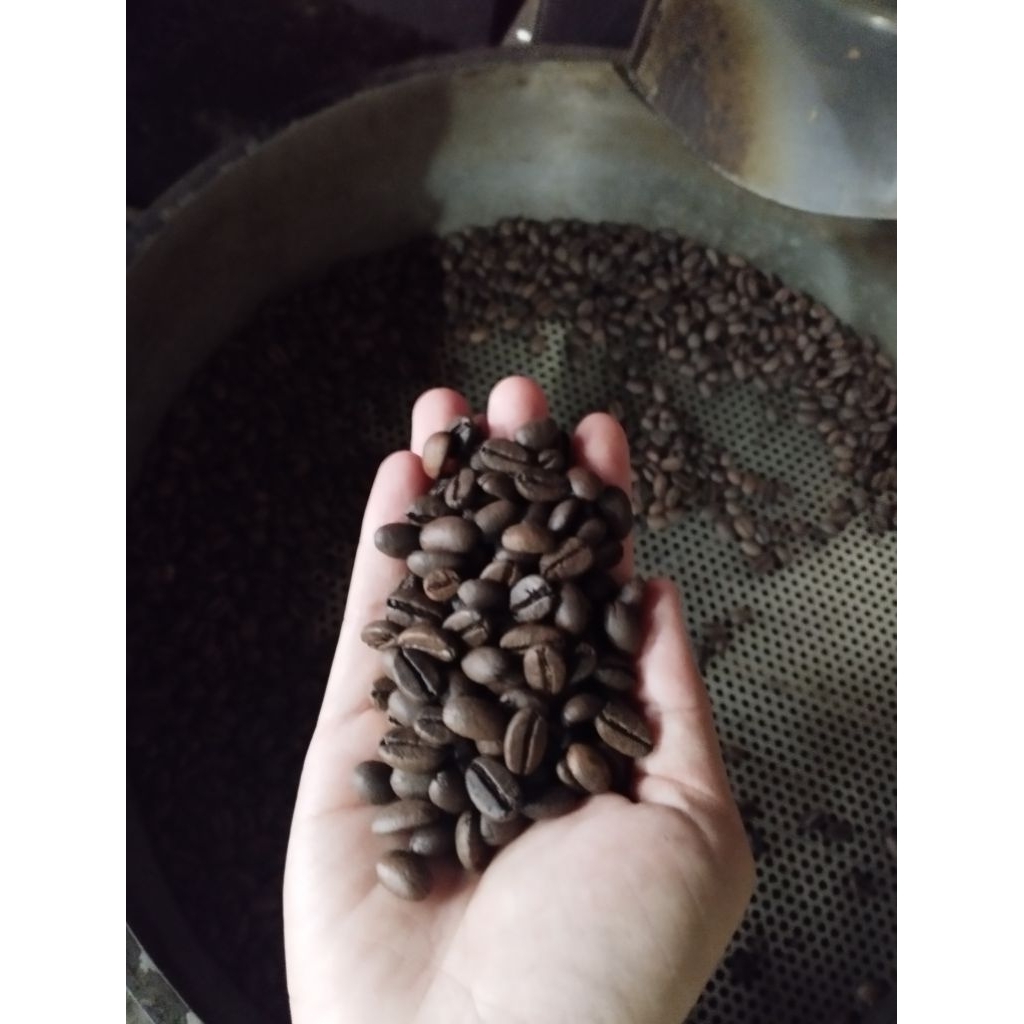 

ASLI! Grade A Kopi Robusta Temanggung. langsung dari petani