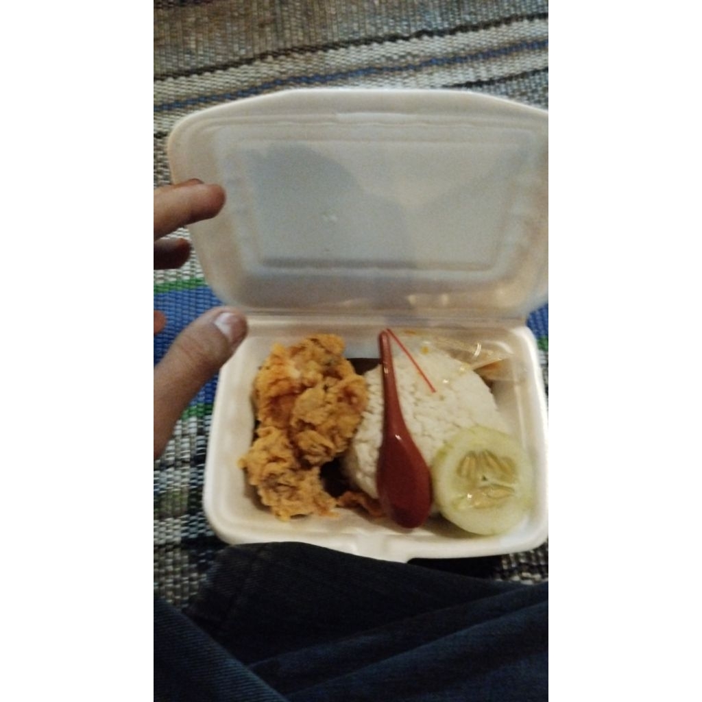 

nasi ayam