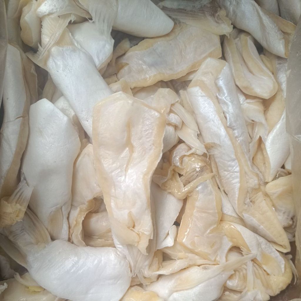 

ikan asin perut patin jorojoss