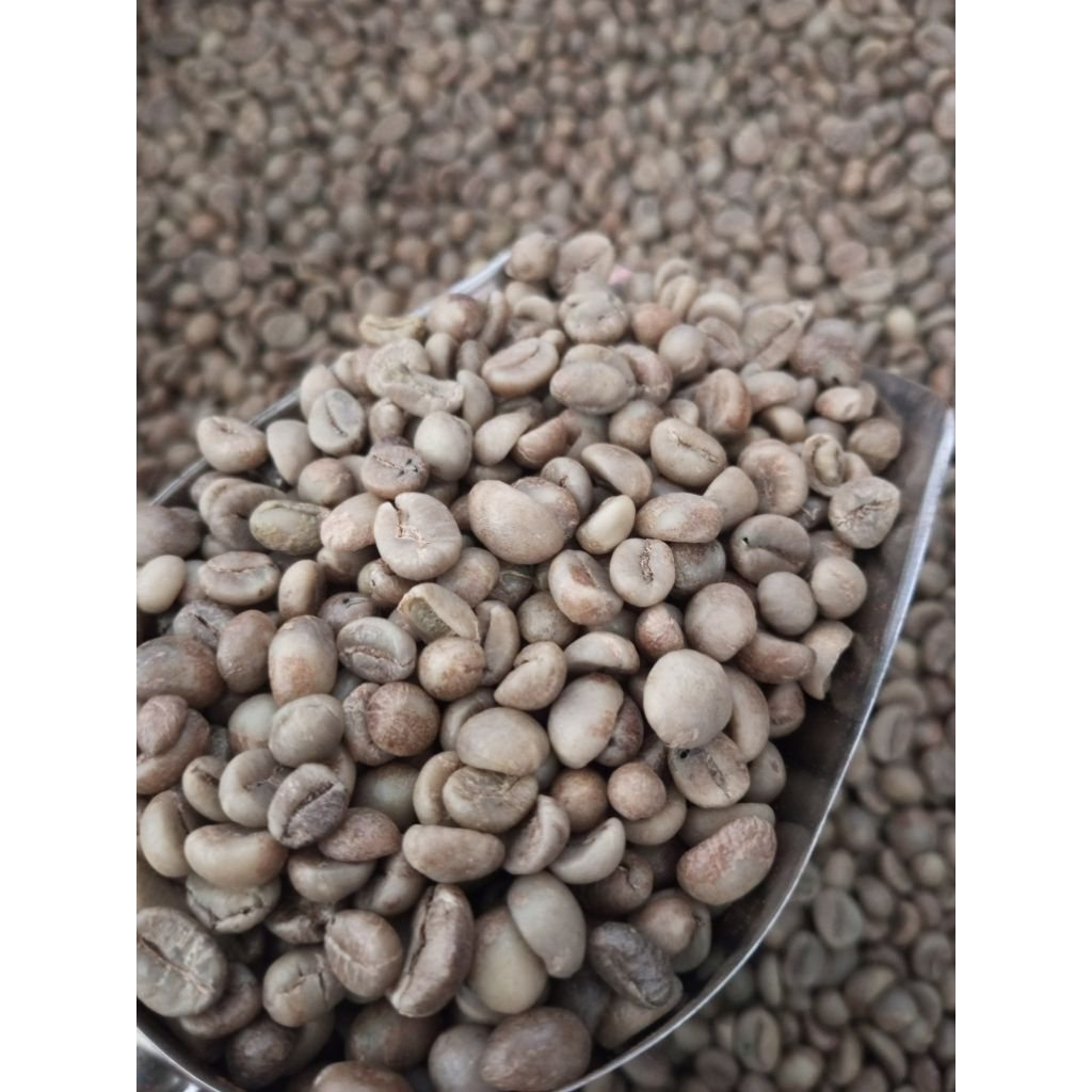

Kopi Robusta Pilihan. Original Quality Green Bean / Biji Robusta Dampit Kopi Mentah 1kg
