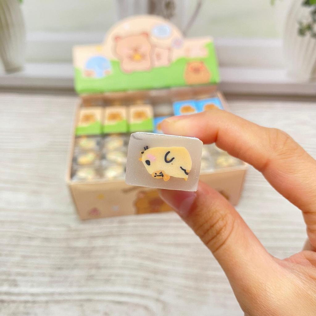 

Eraser Stip Model Capybara Mini Penghapus Karet Kotak Motif Capybara ER-1980 Super Cute Lucu Bisa Cod Harga Satuan