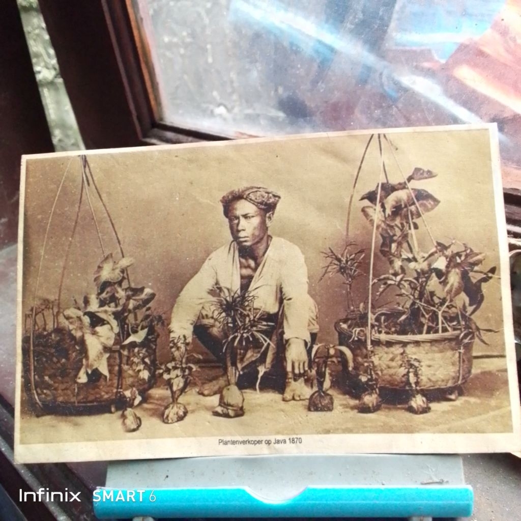 

koleksi kartu pos briefkaart kartoepos plantenverkover op java 1870