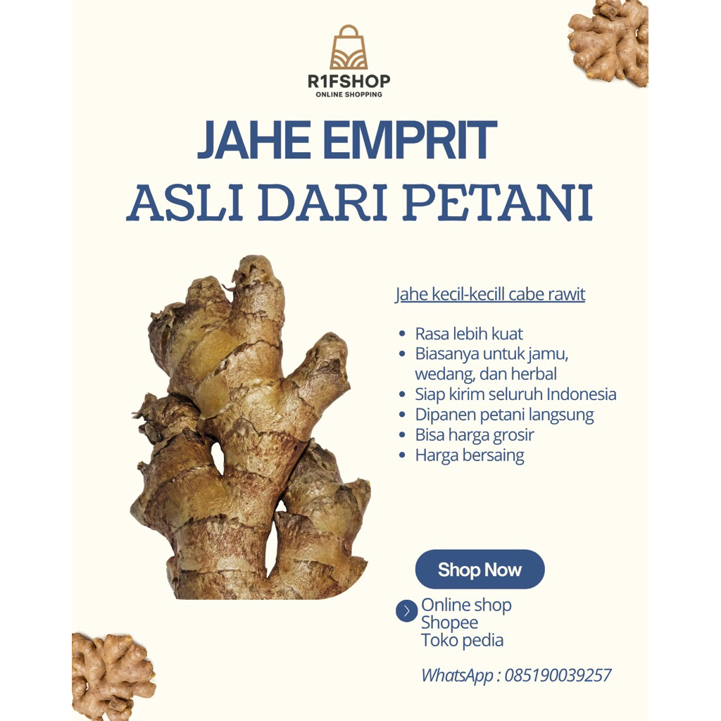 

JAHE EMPRIT SEGAR ASLI DARI PETANI