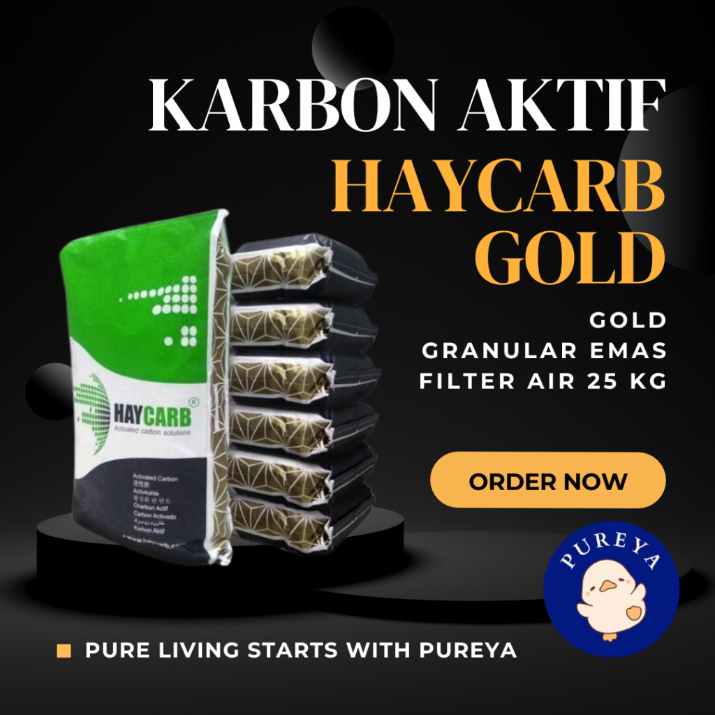 Carbon Karbon Aktif Haycarb Gold Granular Emas Filter Air 25 Kg