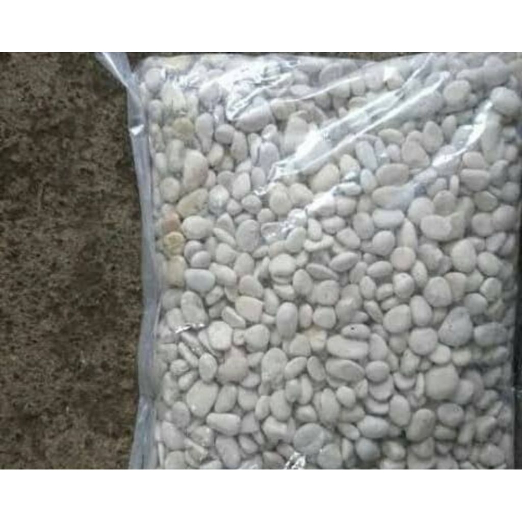 Batu putih hias taman akuarium bijian