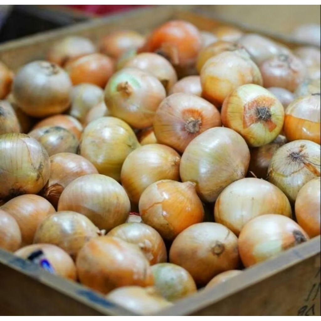 

bawang bombai / bawang bombay