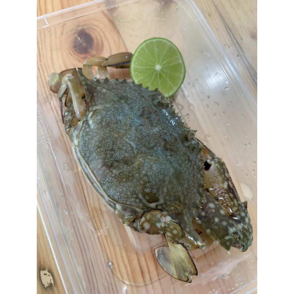 

Extra Som Tam Thailand/ Rajungan/Salmon sashimi/Gurita