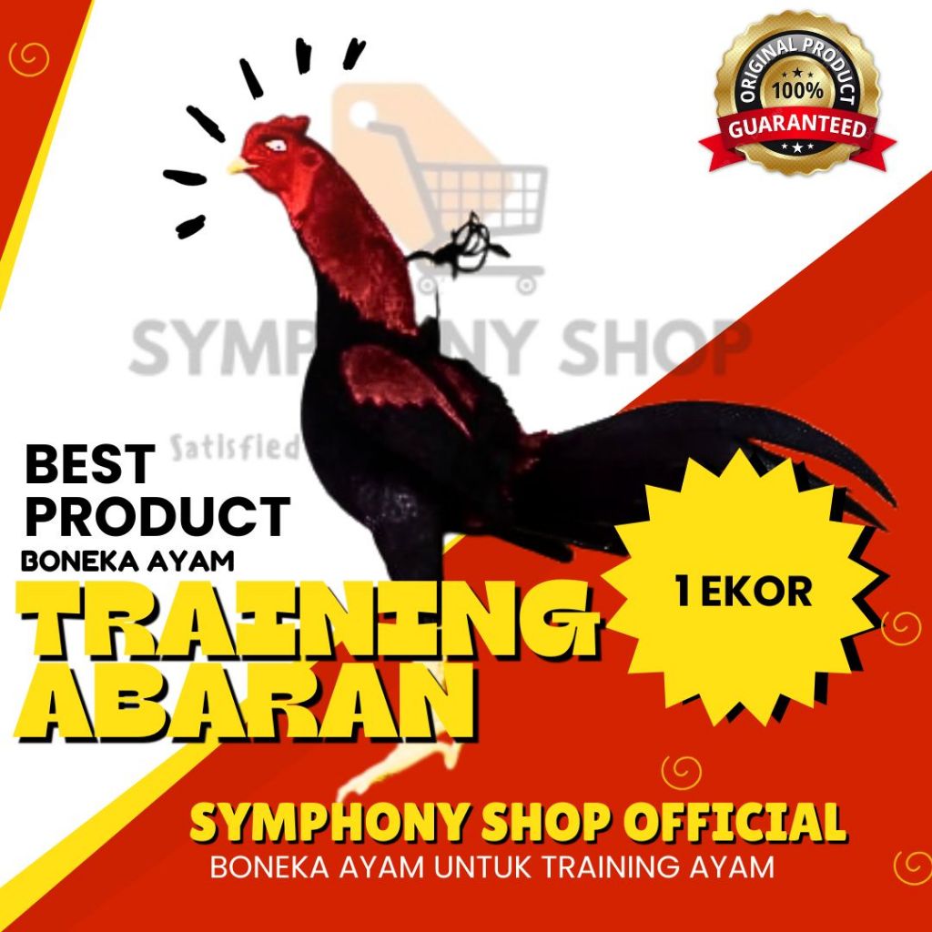 BONEKA AYAM BANGKOK UNTUK MELATIH MENTALNYA