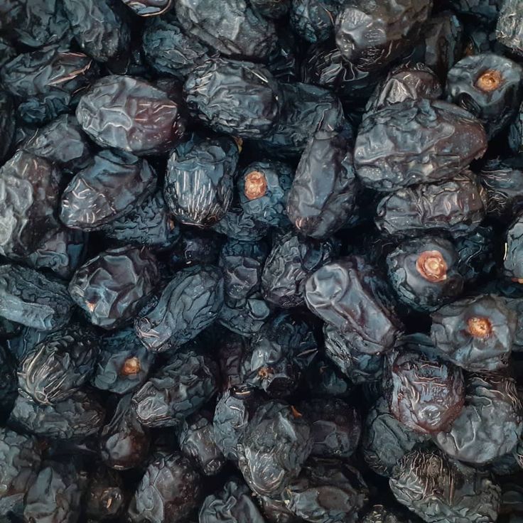 

Kurma Ajwa 1kg | Kurma Ajwa premium | Oleh Oleh Haji/Umroh