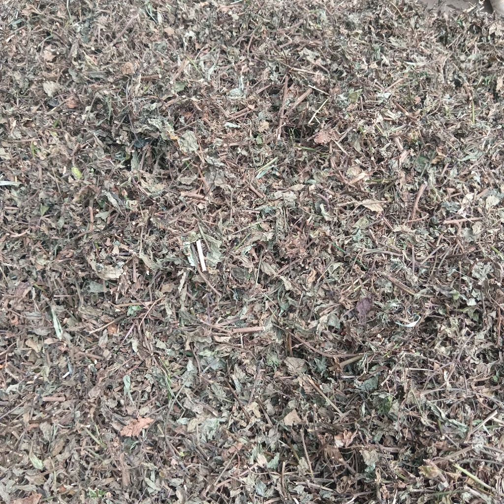 

Jual daun kumis kucing kering kuwalitas bagus 200 g