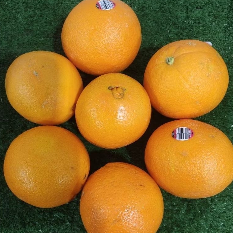 

Sunkist Navel Cara-Cara -+1kg