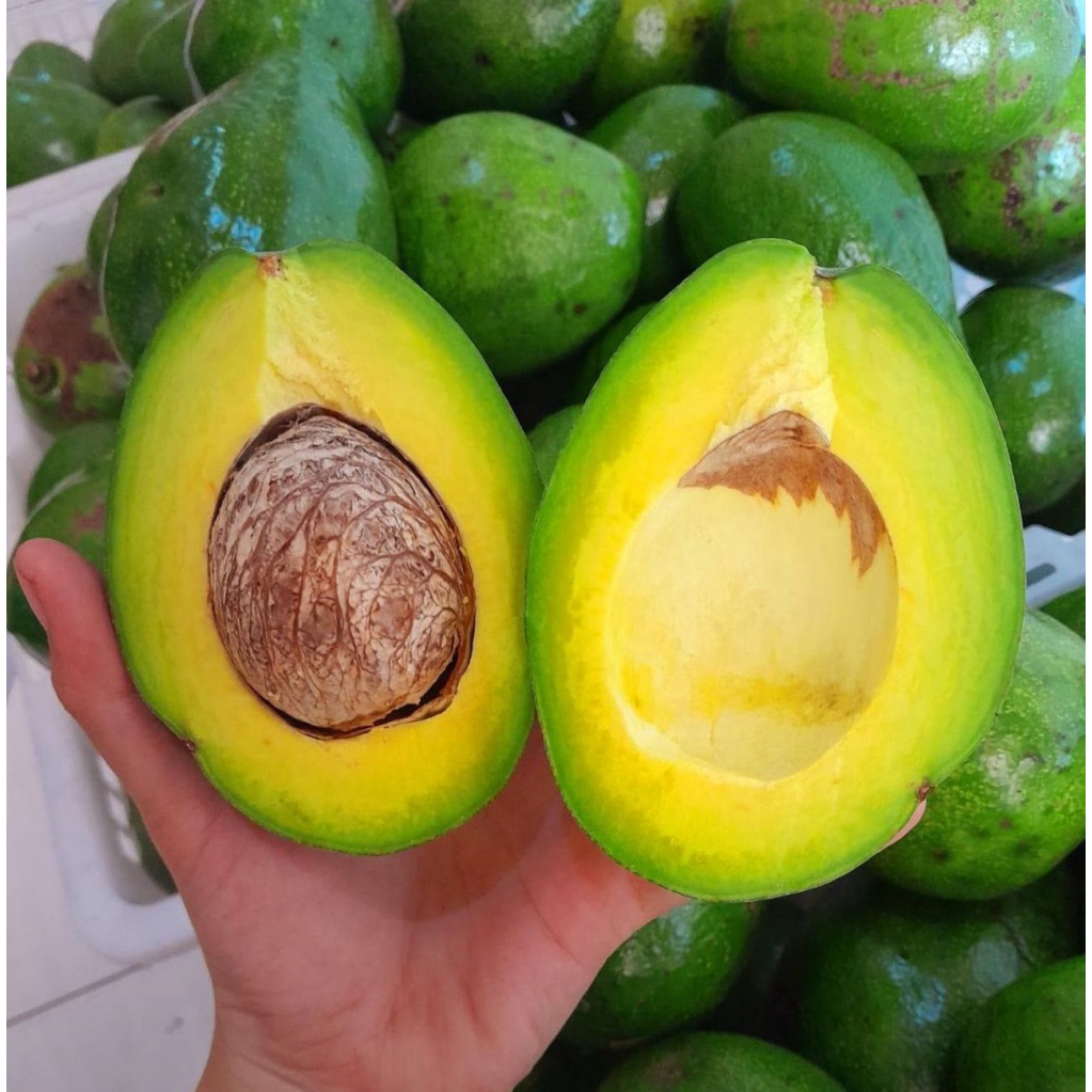 

alpukat mentega manis per kg