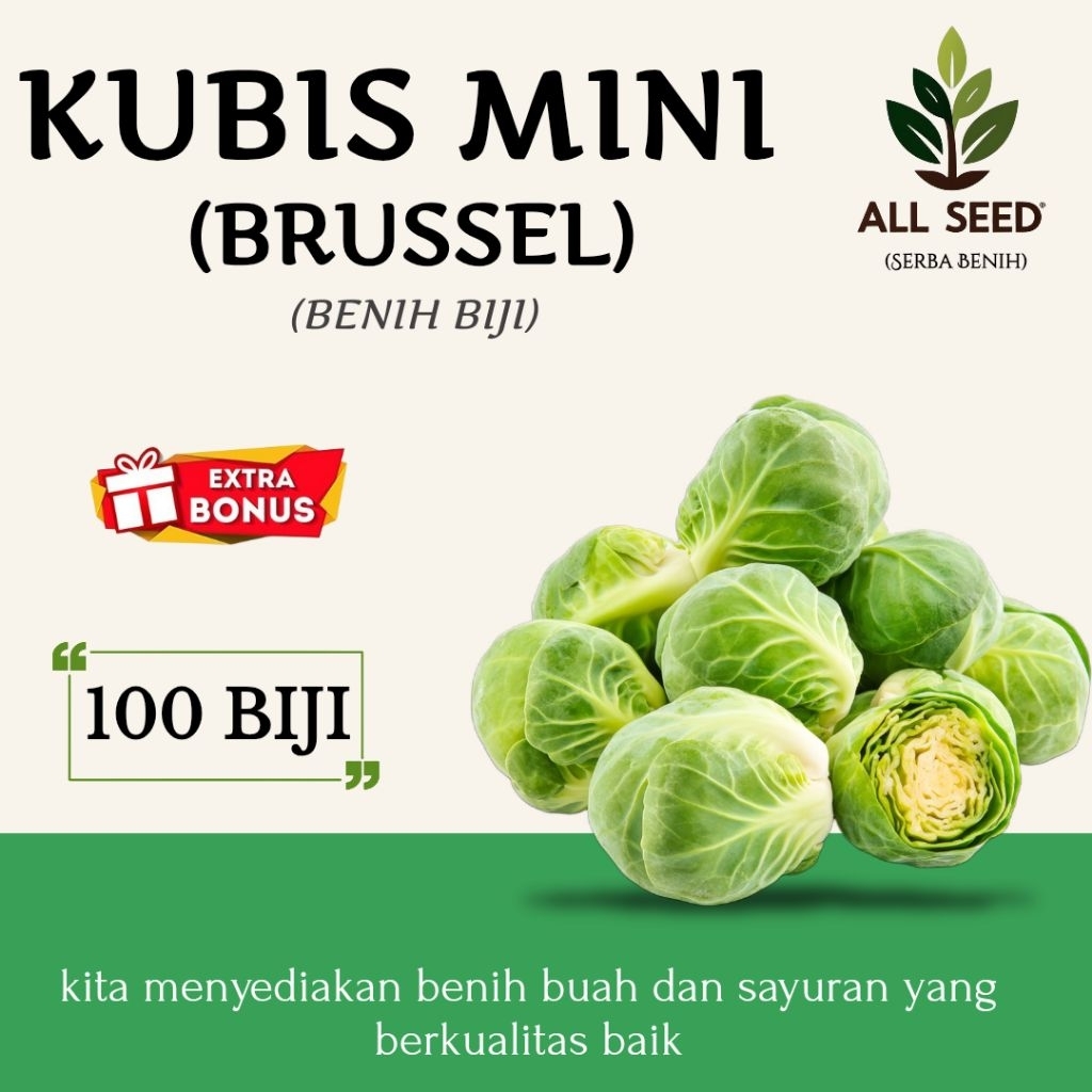 ( 100 Biji ) Benih kubis mini | kubis brussel | kubis hijau | bibit biji kubis brussel