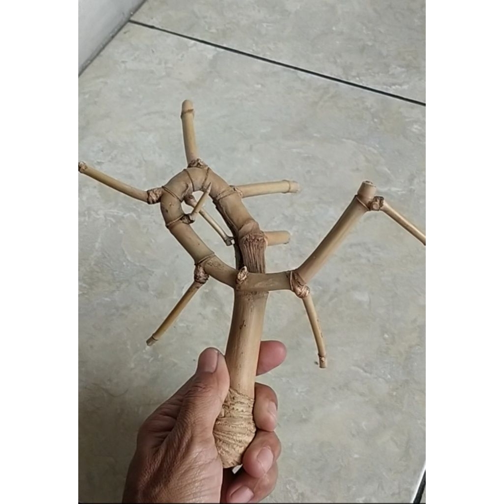 BAMBU UNIK KURUNG LAMJALALAH JALU RANTING PETUK TUMPANGSARI 4 SAP SAMBUNGROGO (4 PAKEM) 20 CM ORI