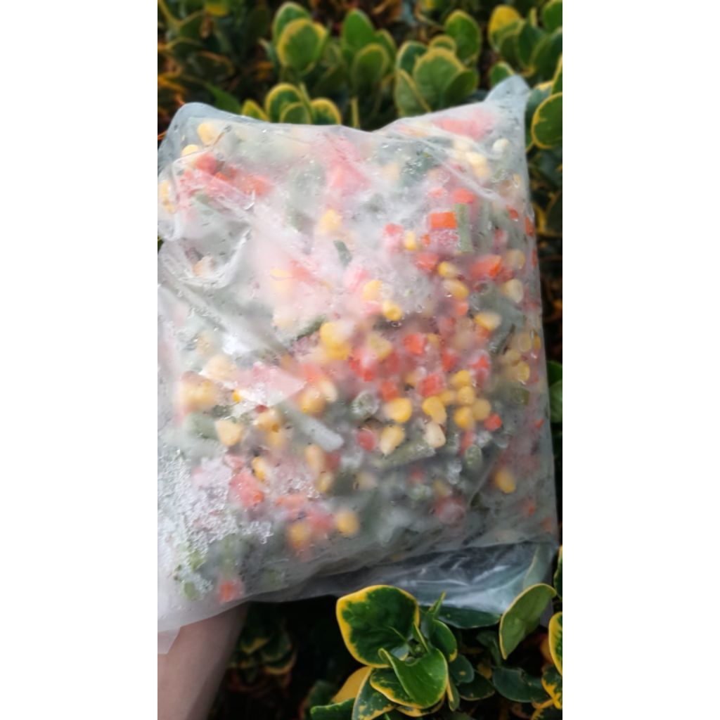 

Vegetables Mix/Mix Veggies (1 Kilogram)