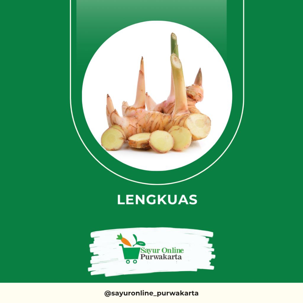 

Lengkuas - Sayur Online Purwakarta