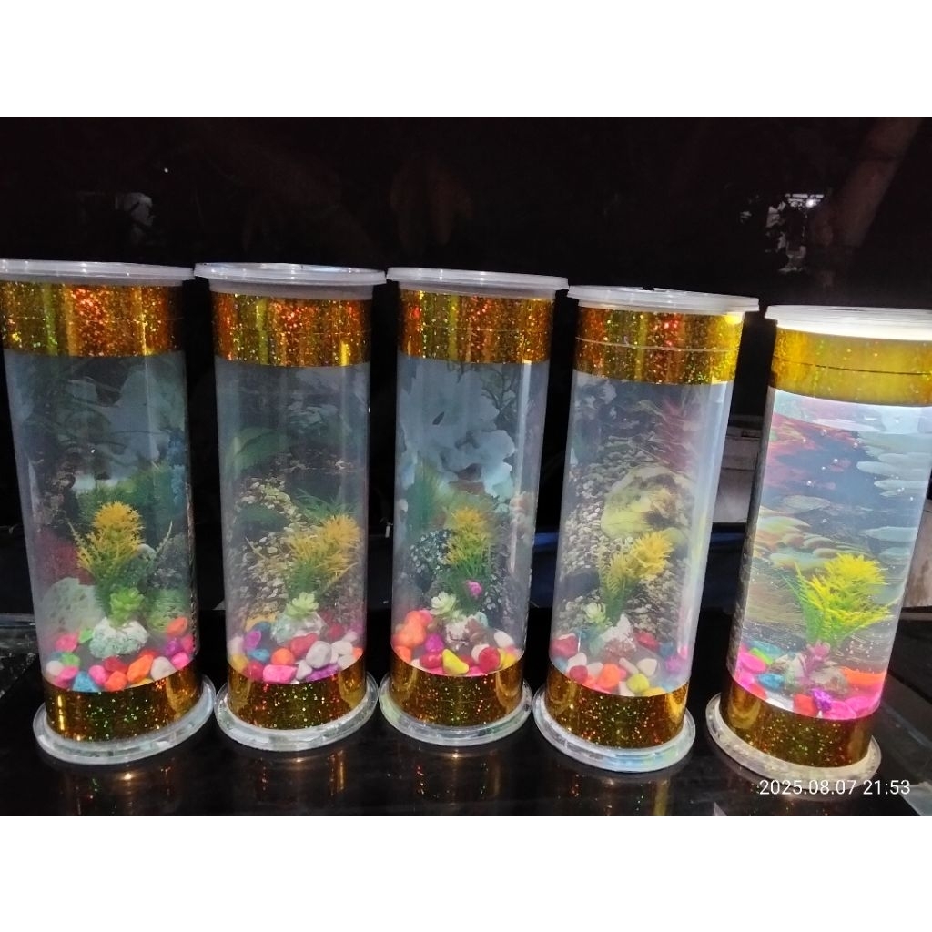 Akuarium tabung minimalis