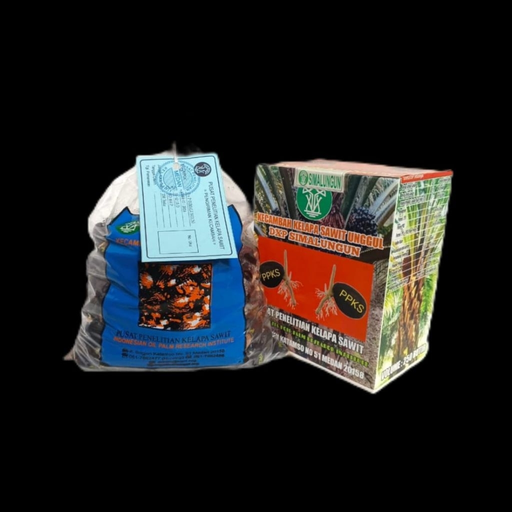 bibit benih kecambah sawit ppks simalungun