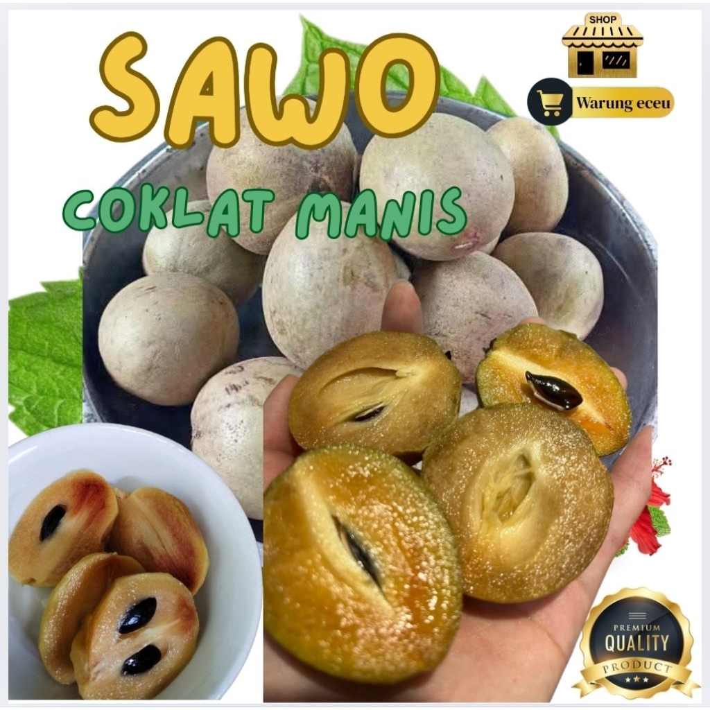 

[ PROMO BARU ] Buah Sawo Si Madu Coklat Sempurna 1 KG | Mexican Sapodillas | Buah Segar Manis Alami