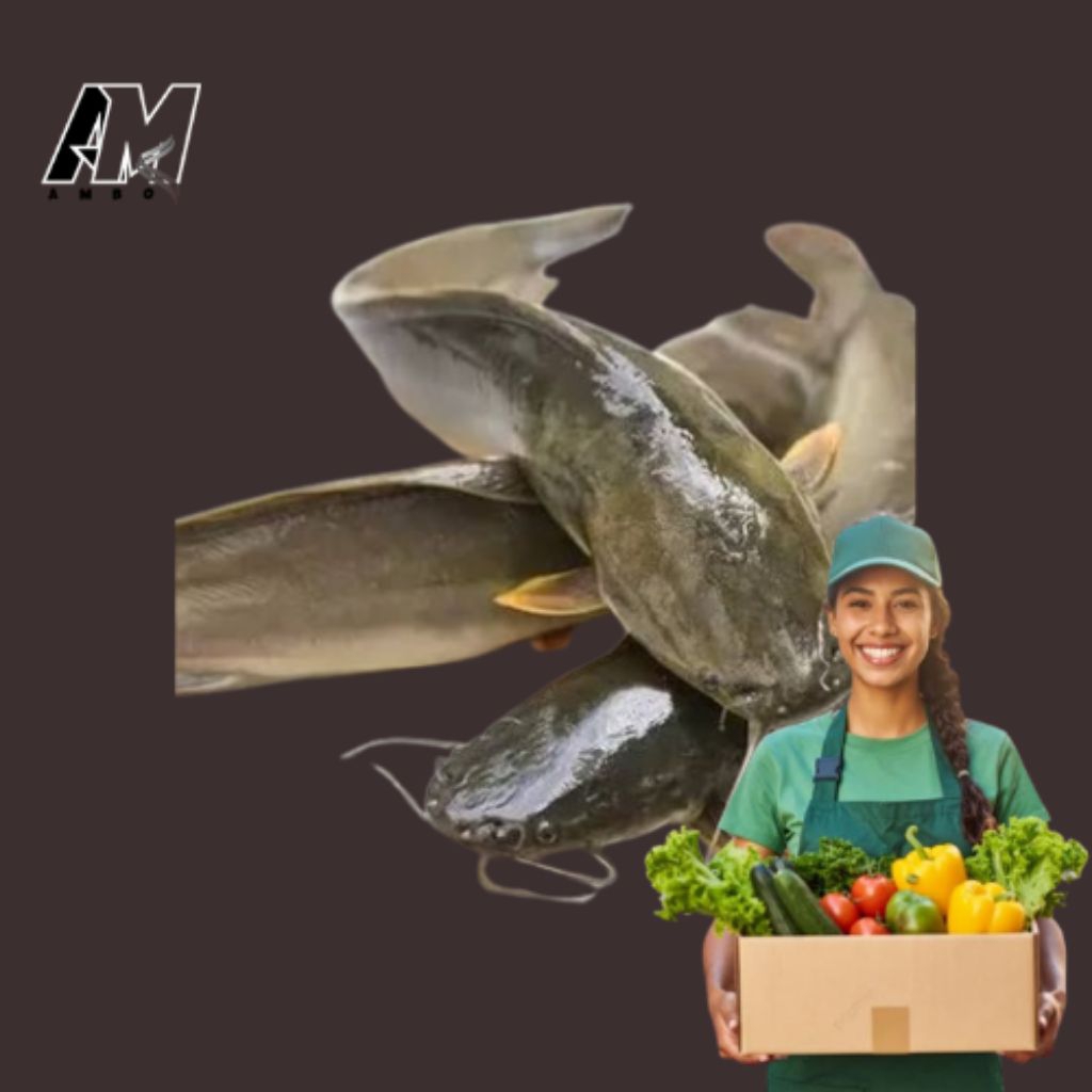 

KIRIM INSTAN IKAN LELE FRESH