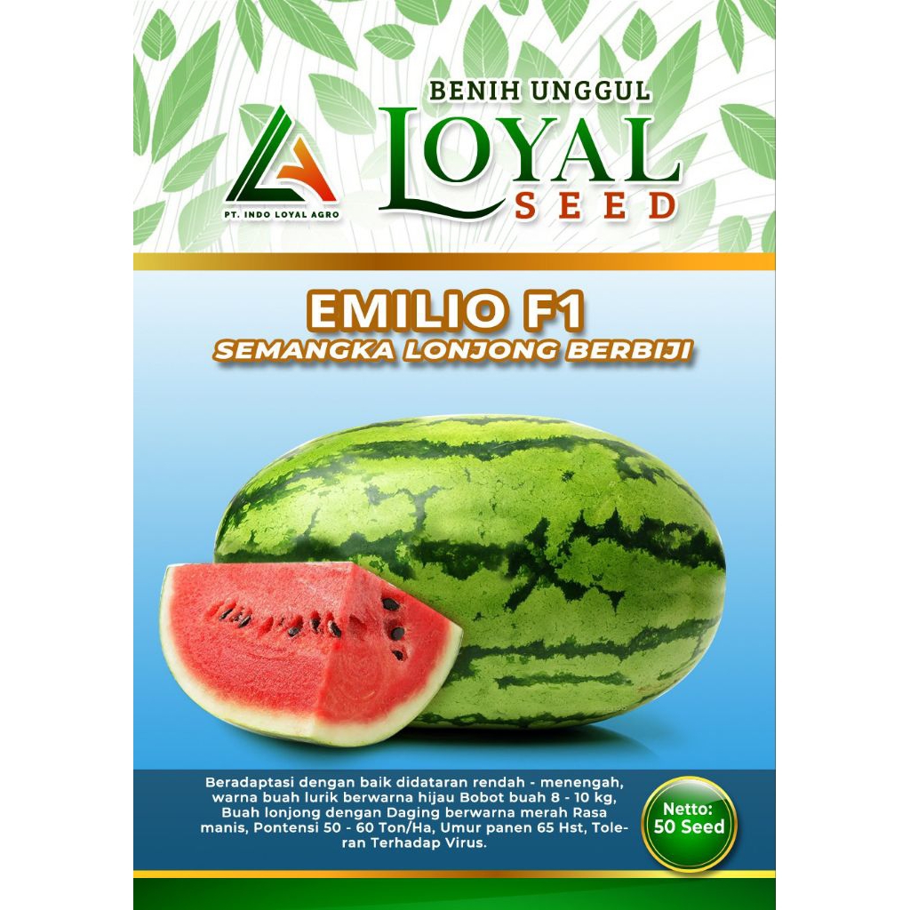

EMILIO F1 SEMANGKA BIJI 25s