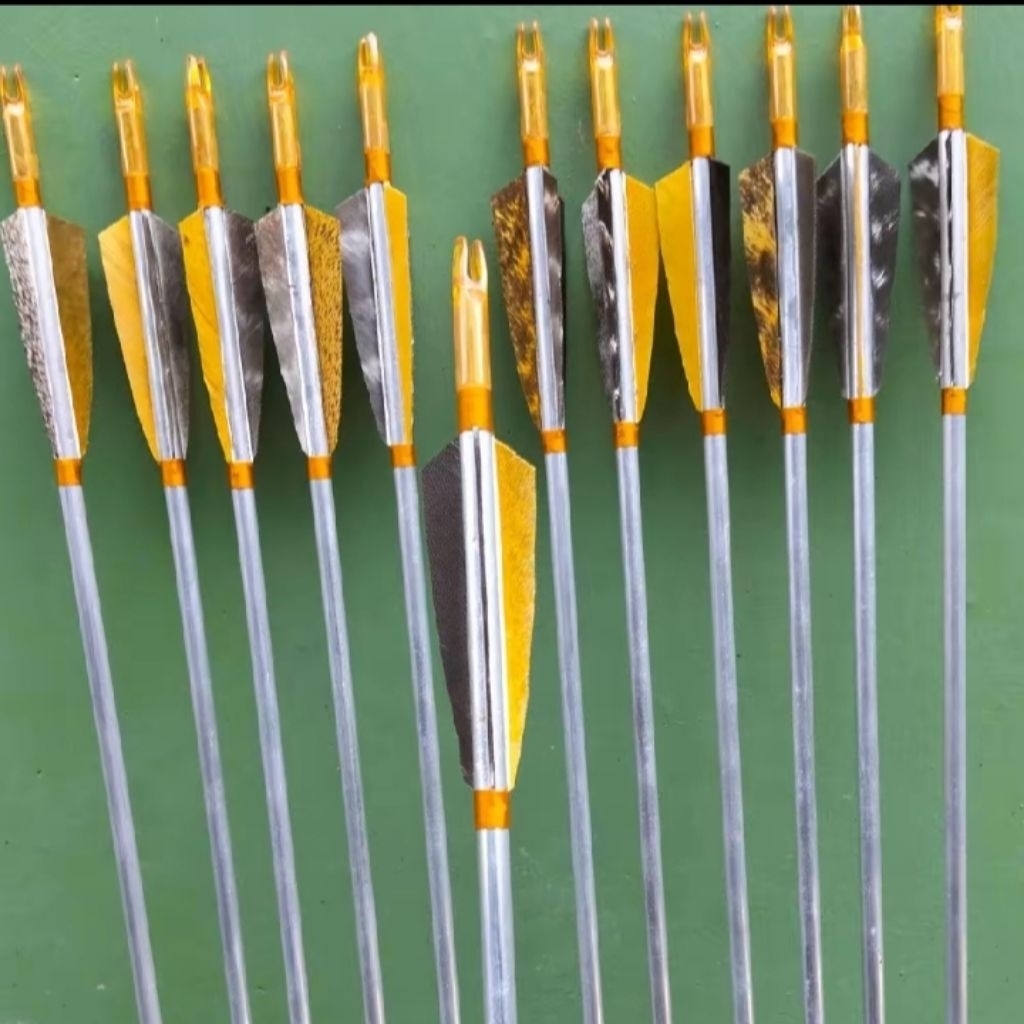 arrow alumunium 6.7mm spine 700 arrow aluminium bulu kalkun