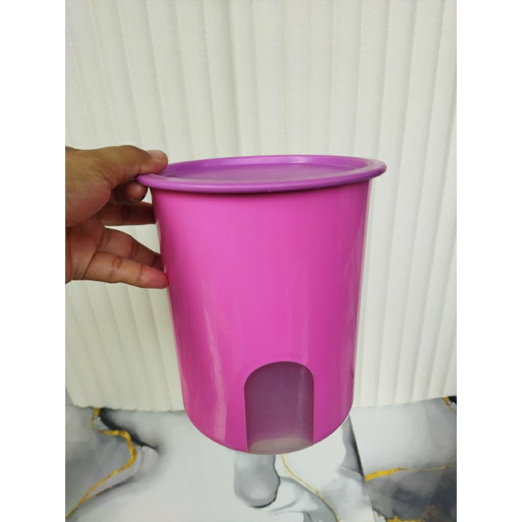 toples window canister 2liter tupperware second preloved