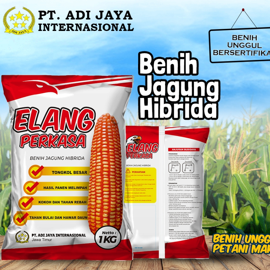 Benih Jagung Hibrida Elang Perkasa