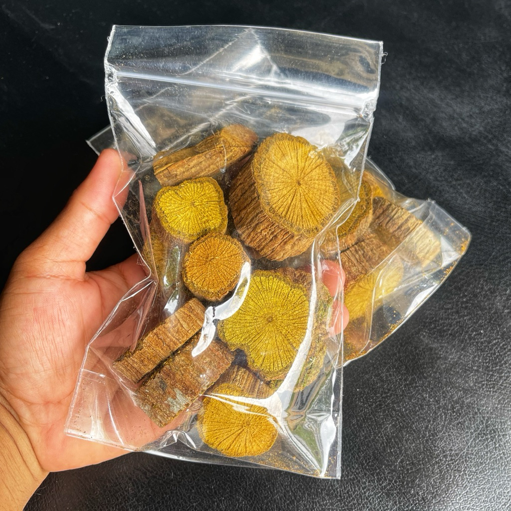 

Akar Kayu Kuning Kalimantan Akar Kuning Akar Bajakah Kuning 100g