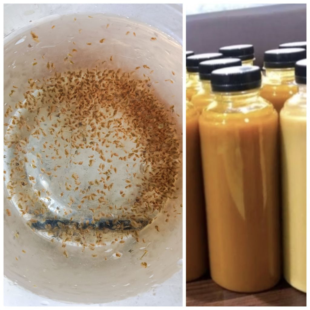 Paket Kutir + Pakan kutir/ kutu air