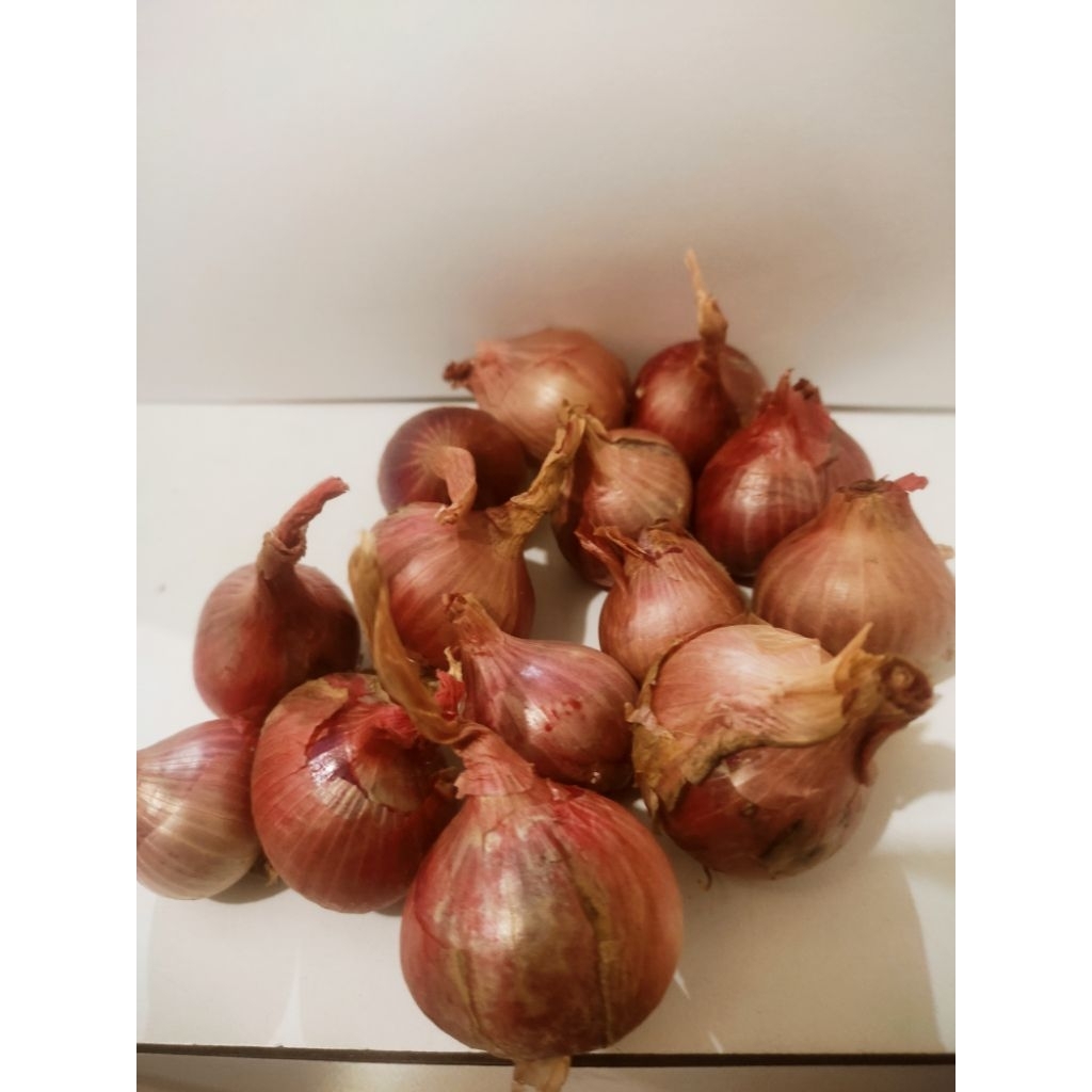 

Bawang merah sedang Super Besar ukuran 500gram 1kg