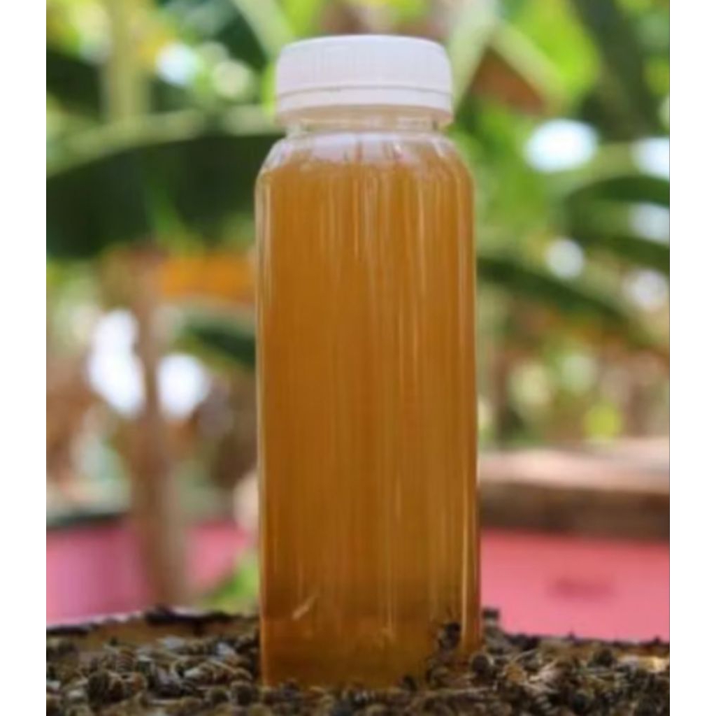 Promo Madu Odeng Asli 100 ml Original