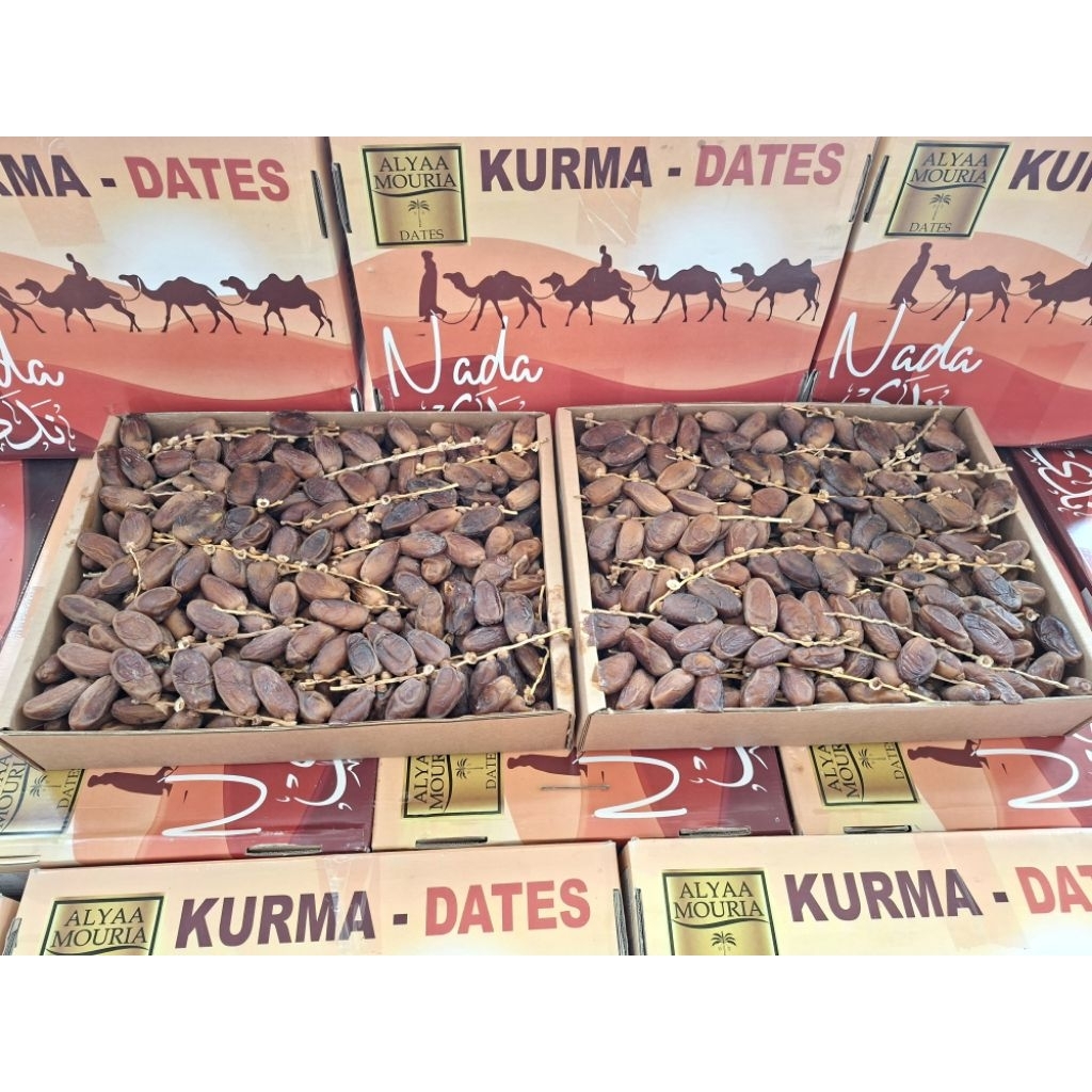 

KURMA TUNISIA TANGKAI 5kg