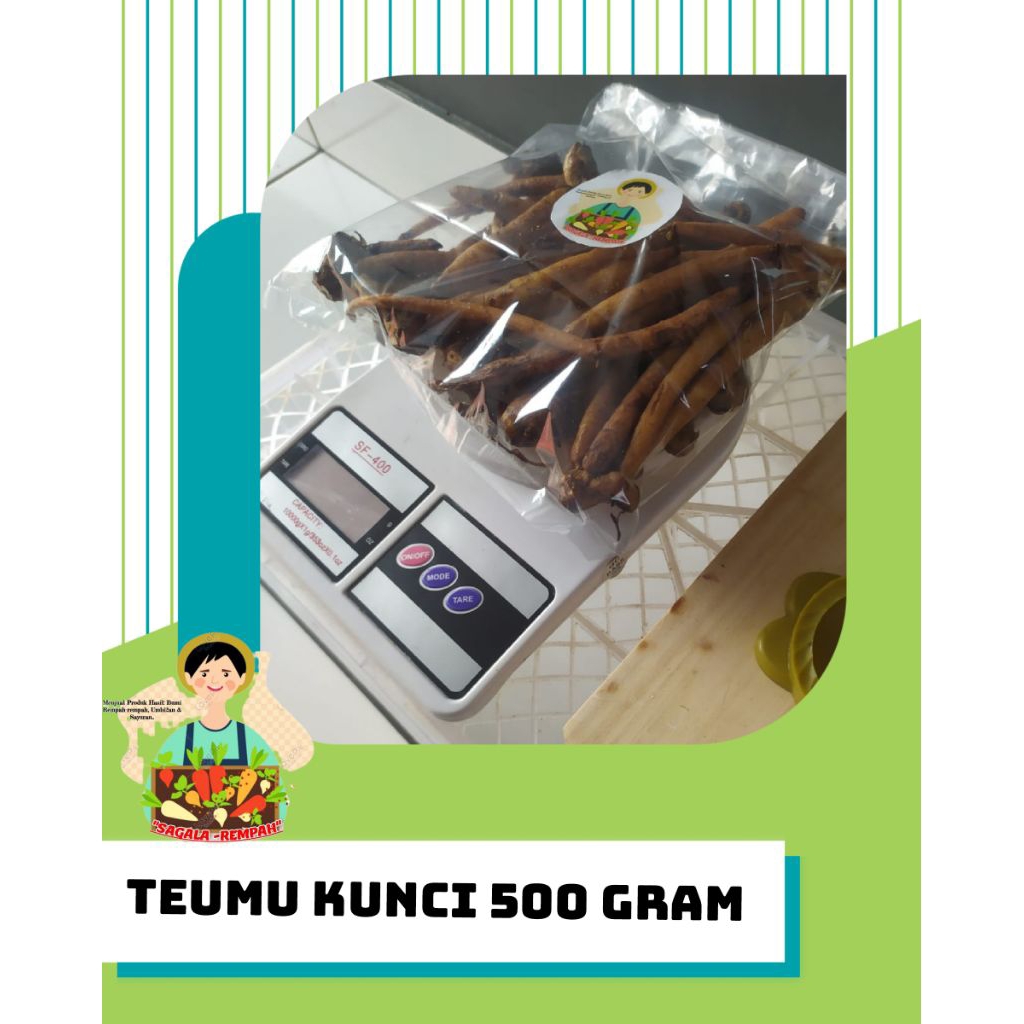 

TEMU KUNCI OBAT HERBAL BAHAN JAMU 500 GRAM
