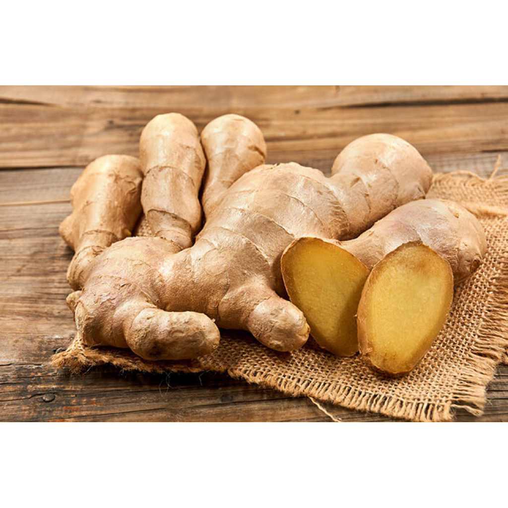 

Jahe Gajah | 500gr | untuk Bumbu Masakan / Herbal