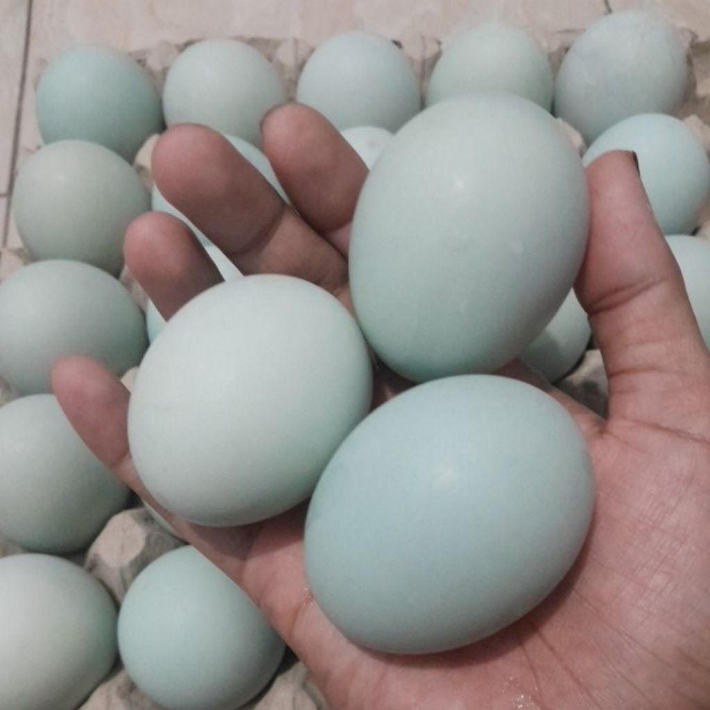 

telur asin