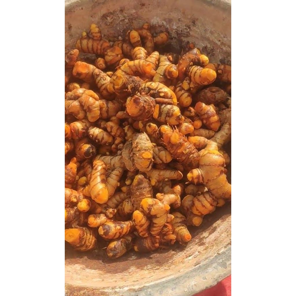 

Kunyit segar /koneng fresh 1kg dadakan siap kirim luar kota.