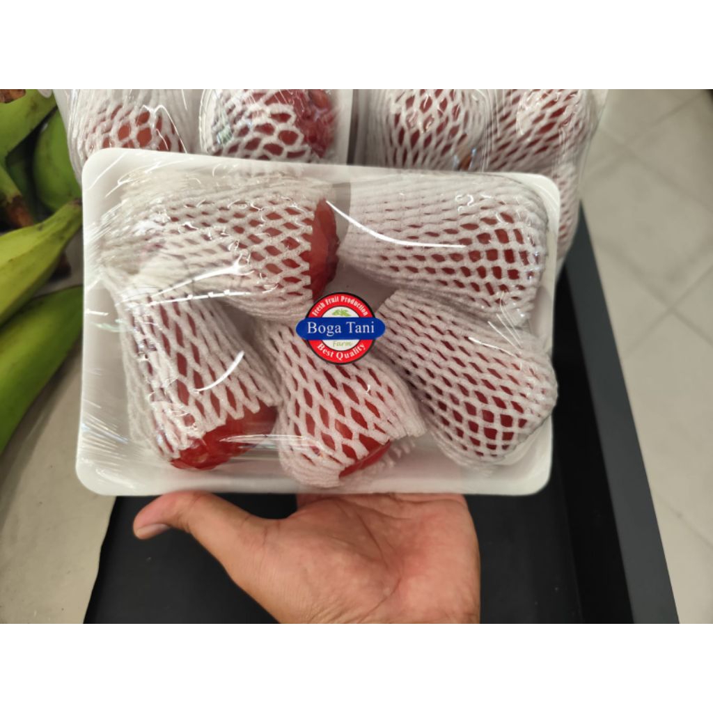 

Buah jambu red king bogatani manis -+ 500 gram