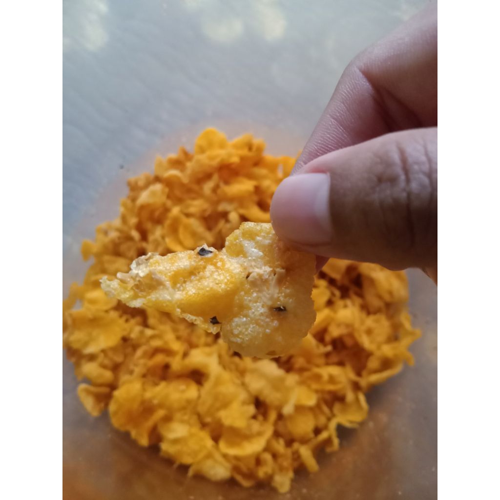 

EMPING JAGUNG 400GRAM MENTAH