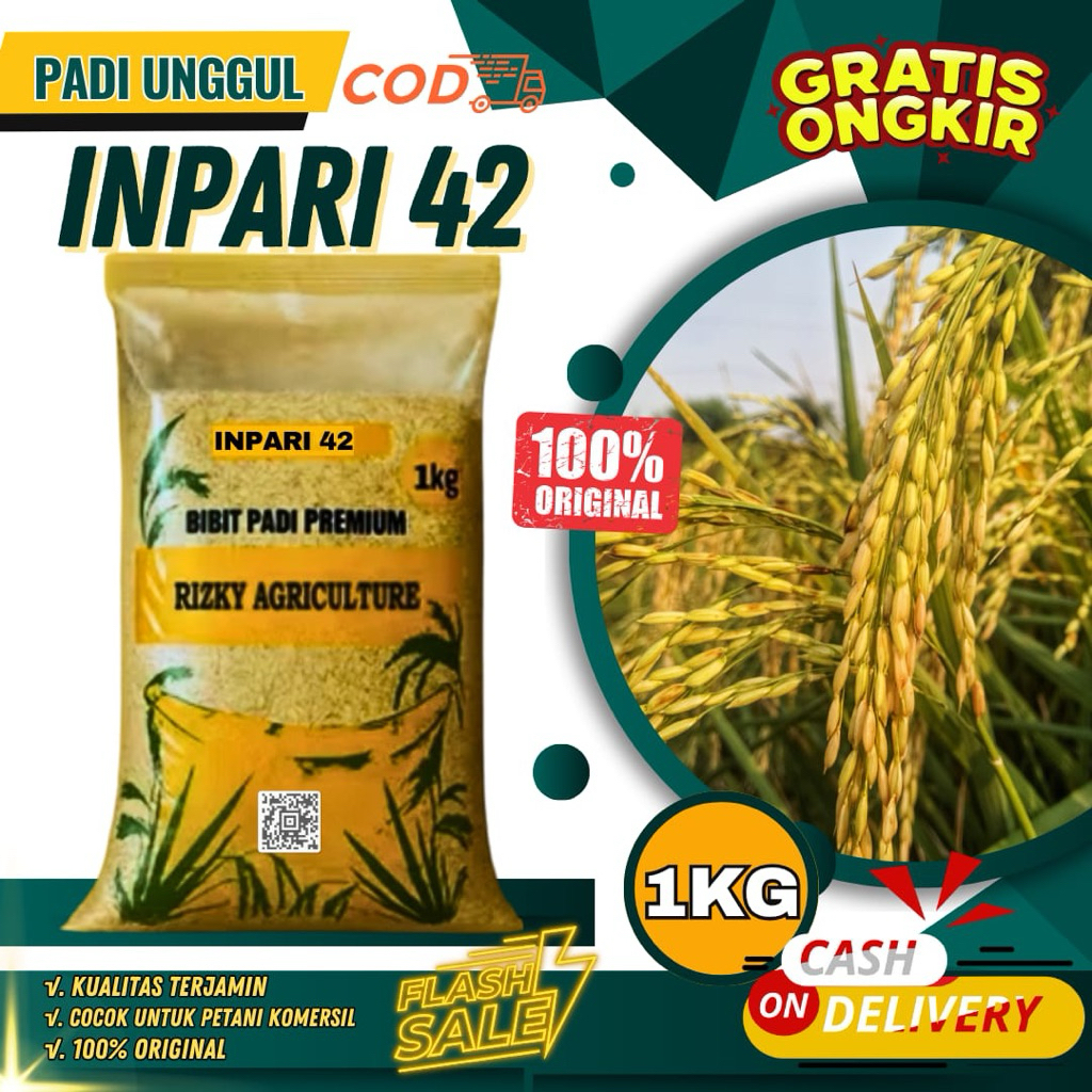 Benih padi unggul premium inpari 42 1Kg